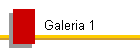 Galeria 1